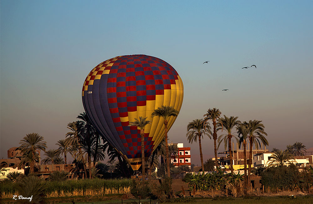 photo "Wrong landing" tags: travel, 