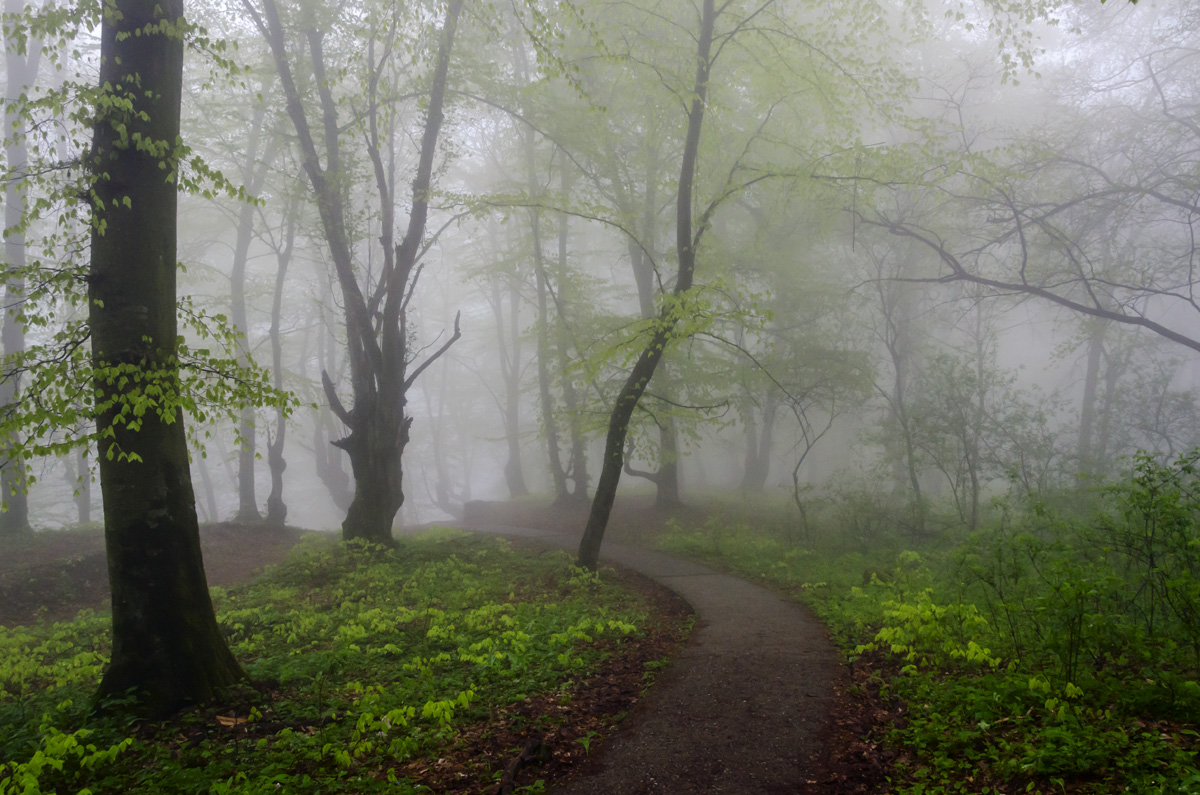 photo "***" tags: landscape, 