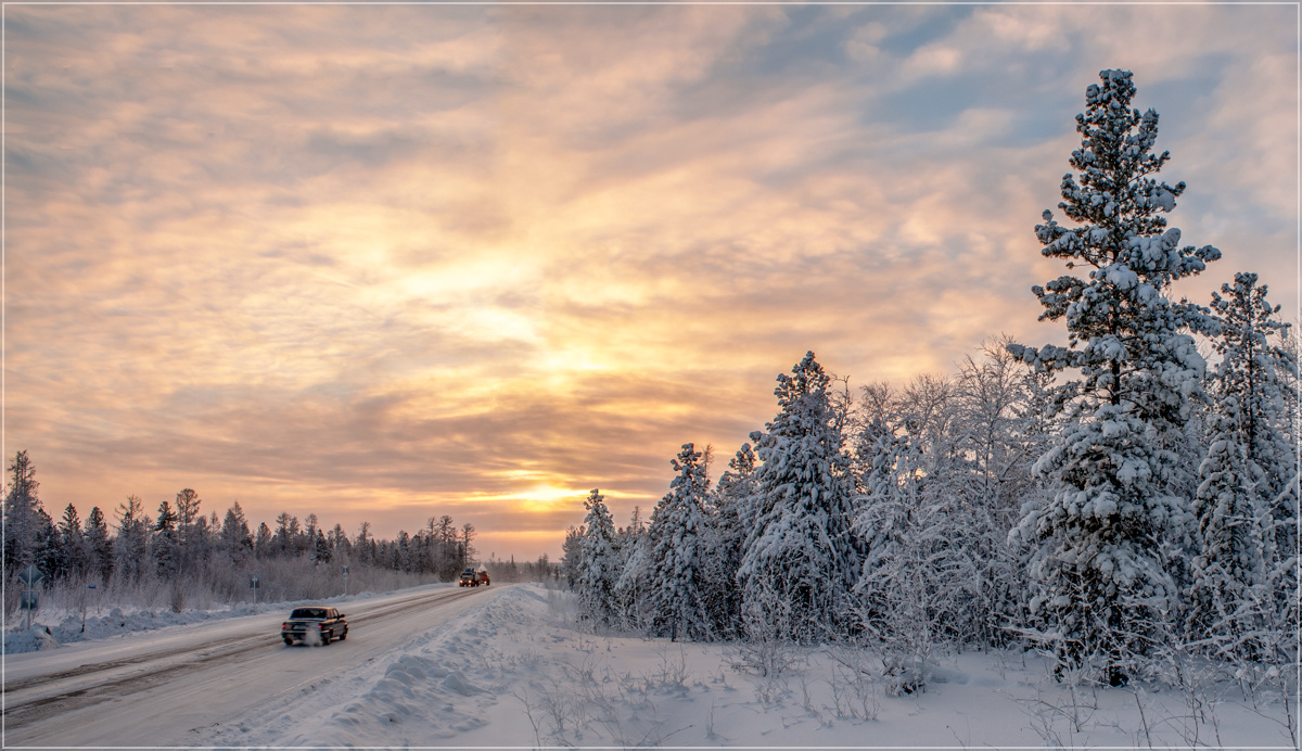 photo "***" tags: landscape, nature, forest, road, мороз