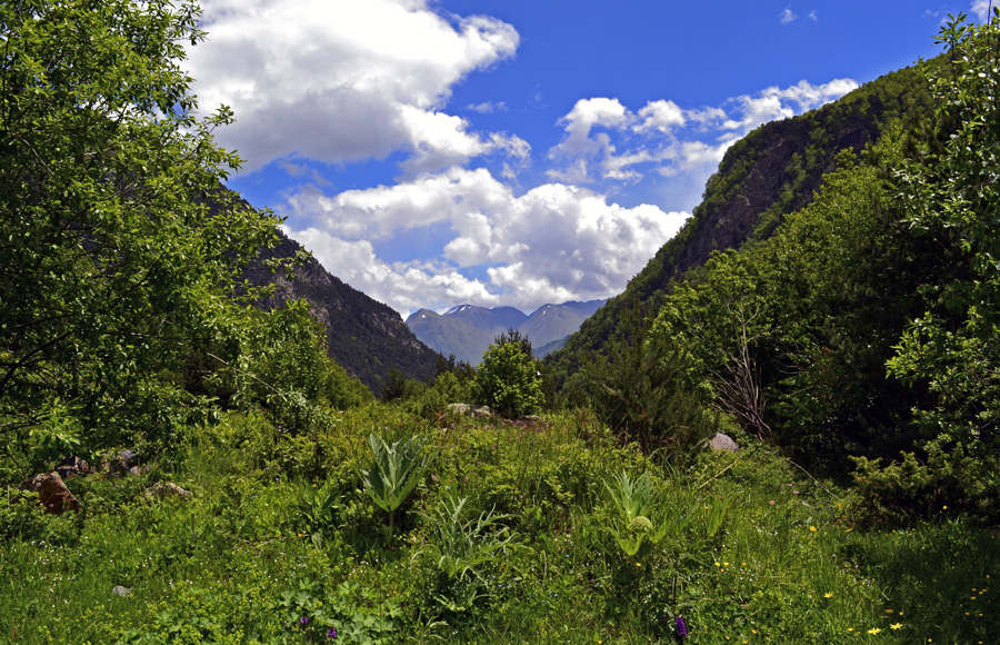 photo "***" tags: nature, landscape, travel, mountains, summer, Кавказ