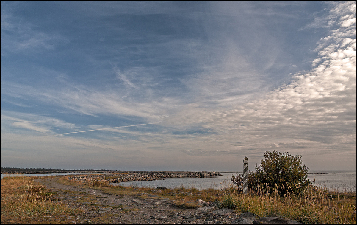 photo "Solovki. Road to the Big Muksalma" tags: landscape, travel, 