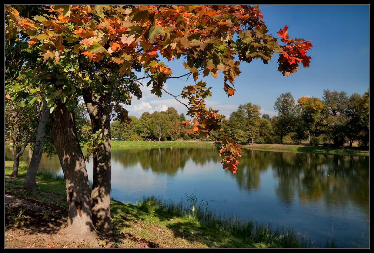 photo "***" tags: landscape, 