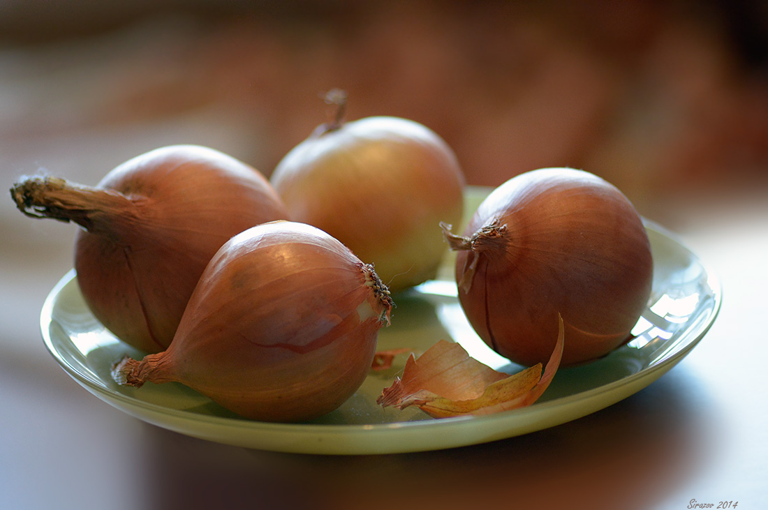 photo "Onion. Etude" tags: still life, 