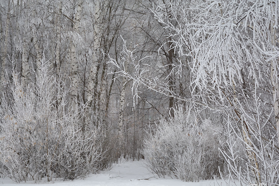 photo "In late winter" tags: landscape, nature, 