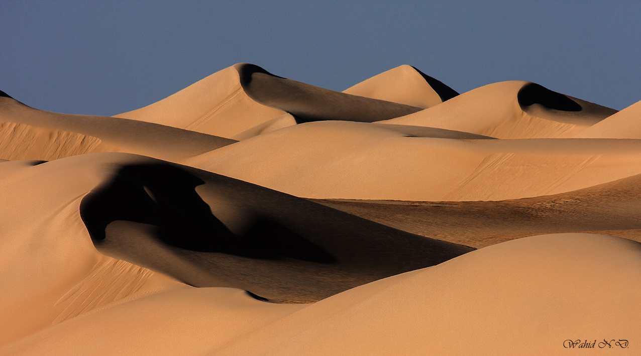 Горячий ветер африки 5 букв. Пустыня сахара Египет фото. Egypt Sahara.