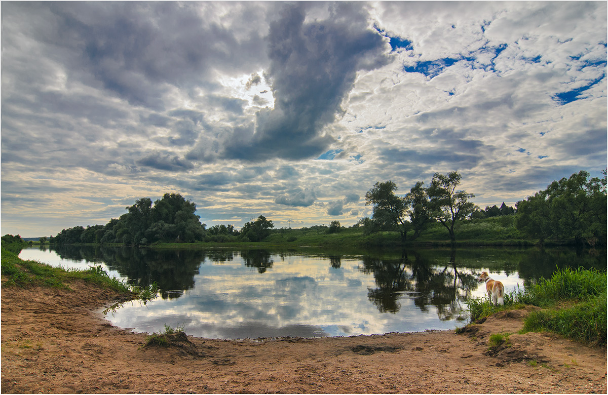 фото "***" метки: пейзаж, вода, домашние животные, облака