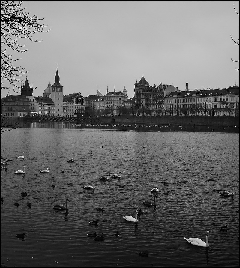 photo "Башне, дома и Влтава" tags: black&white, Prag, Prague, Praha