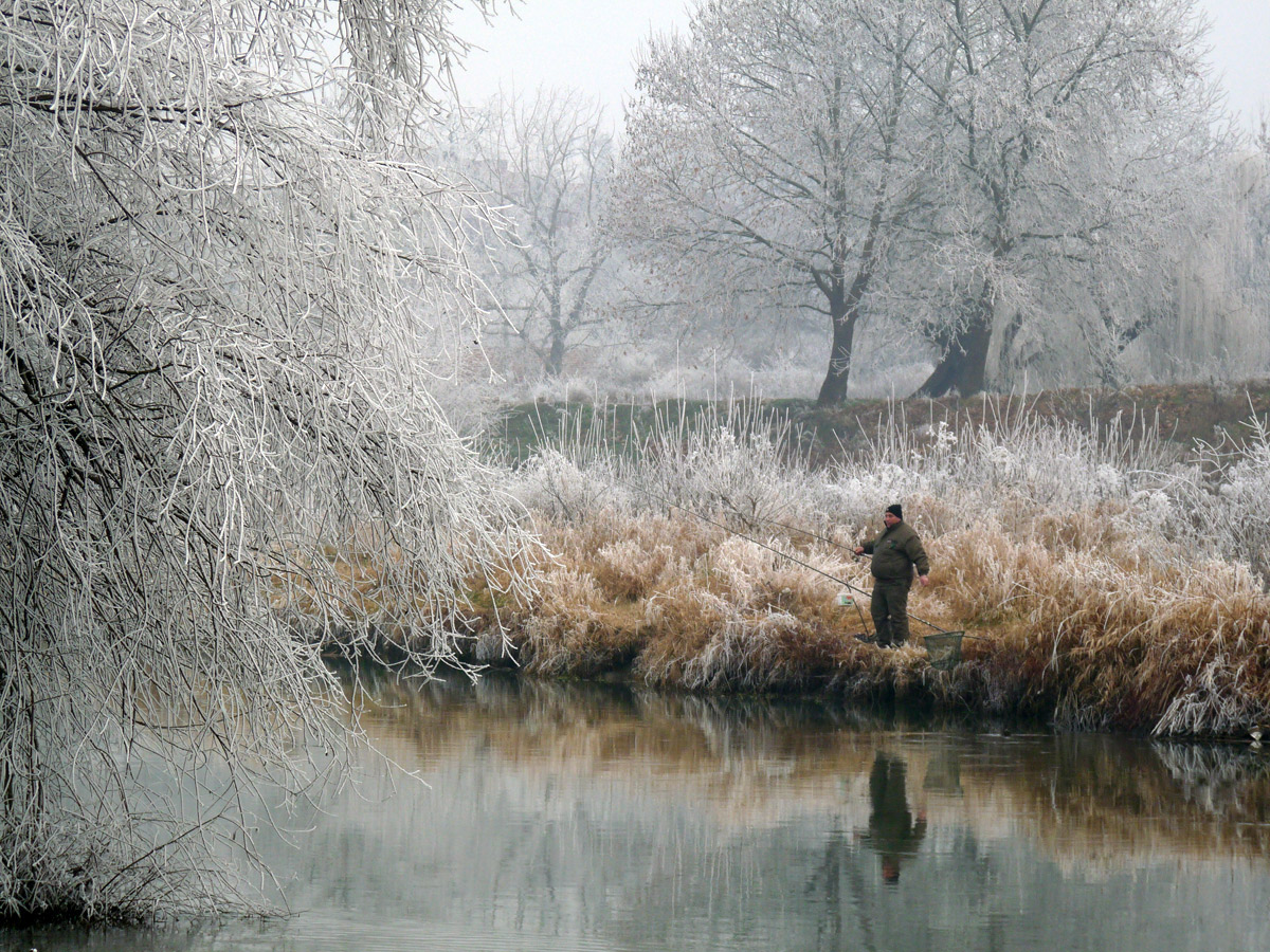 photo "***" tags: landscape, winter