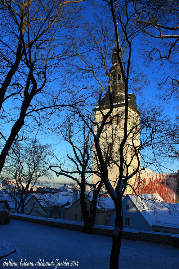 фото "Зима в Таллине" метки: город, природа, архитектура, Church, Estonia, Tallinn, Таллин, Эстония, зима, снег