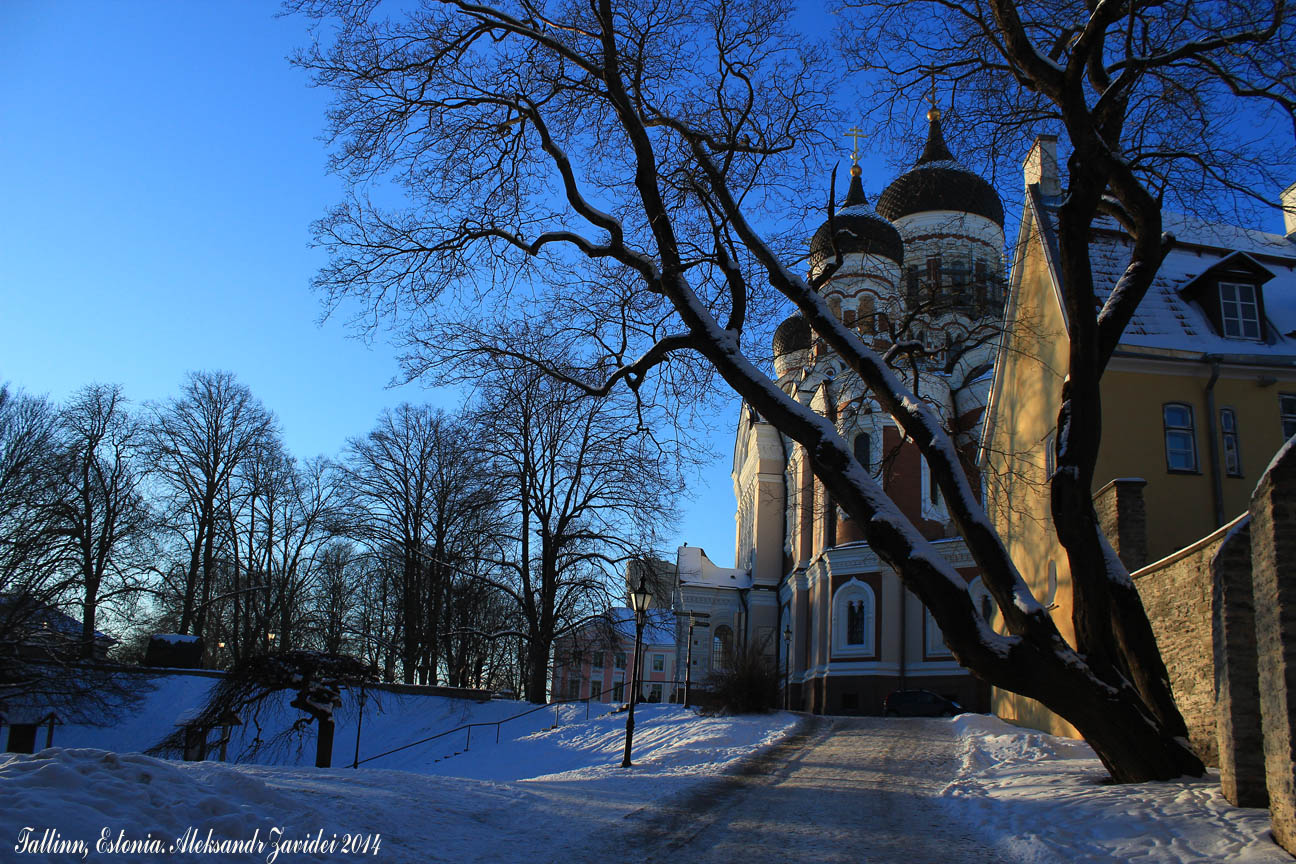 фото "Toompea,Russian Church" метки: архитектура, природа, город, Estonia, Russian Church, Tallinn, Toompea, Европа, Таллинн, Эстония, зима