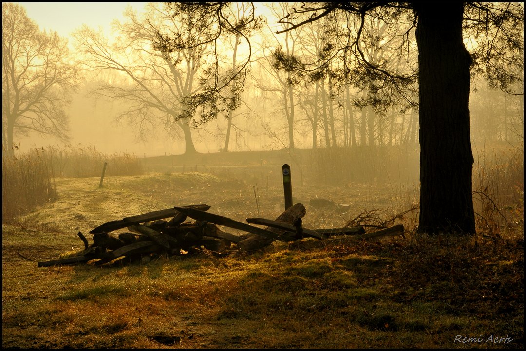 photo "***" tags: landscape, nature, spring, sunrise