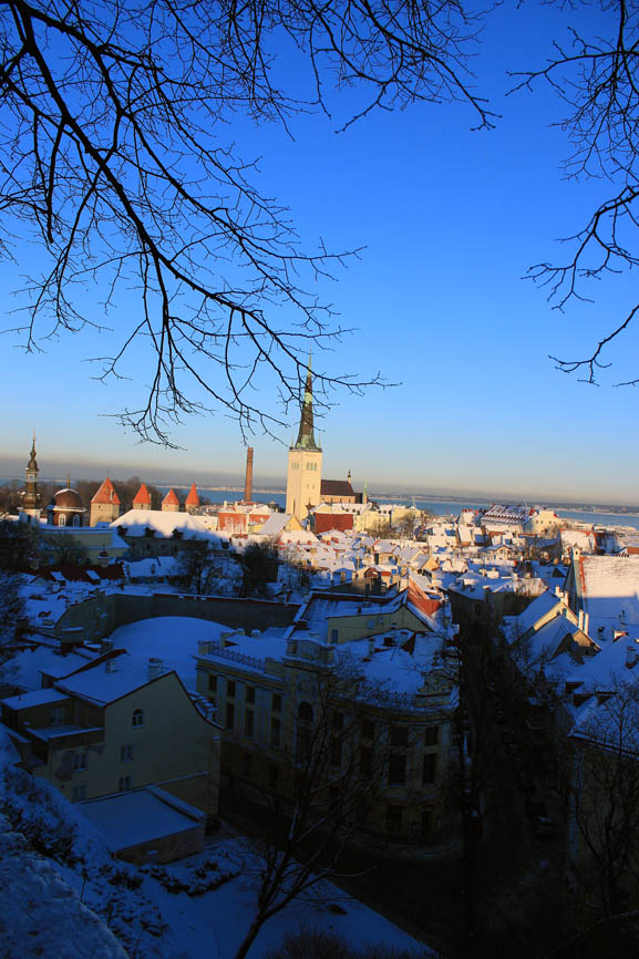 photo "Tallinn old town" tags: architecture, city, travel, Estonia, Tallinn, winter, Таллин, Эстония