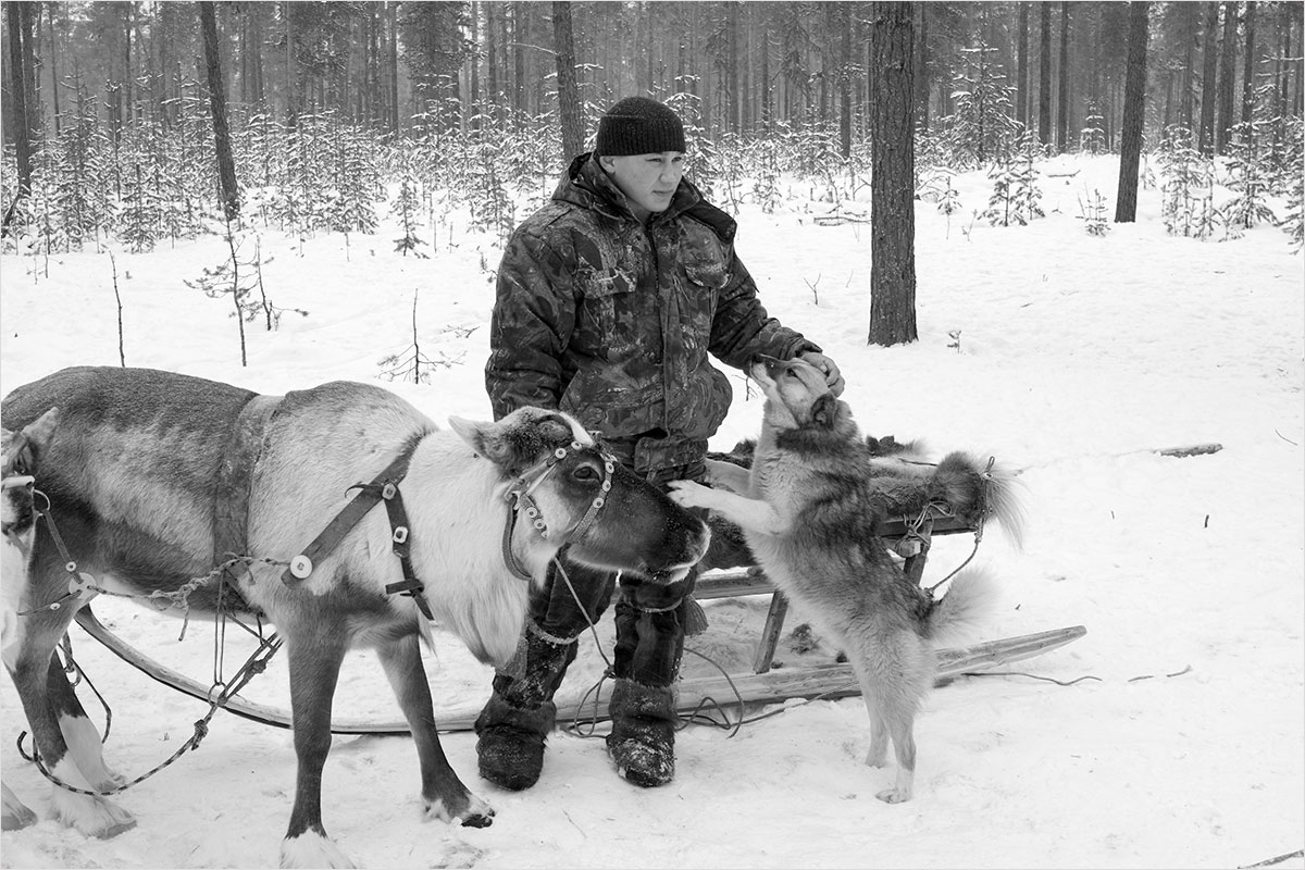 фото "Верные друзья" метки: путешествия, природа, репортаж, олени, отдых, путешествие, стойбище