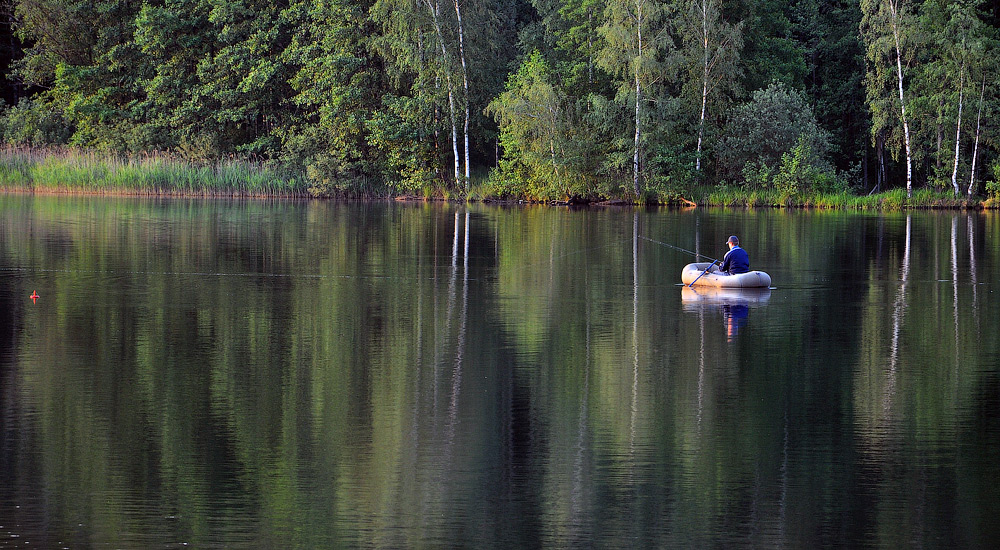 photo "***" tags: nature, reporting, genre, forest, people, sun, water, отдых