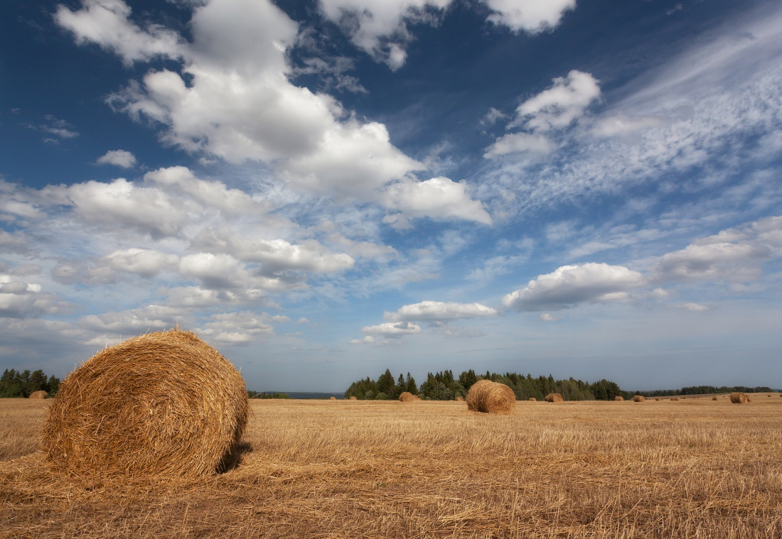 photo "***" tags: landscape, autumn, clouds, field, forest, grass, рулоны, сено