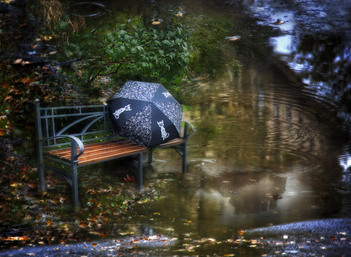 photo "Bench autumn" tags: landscape, montage, 