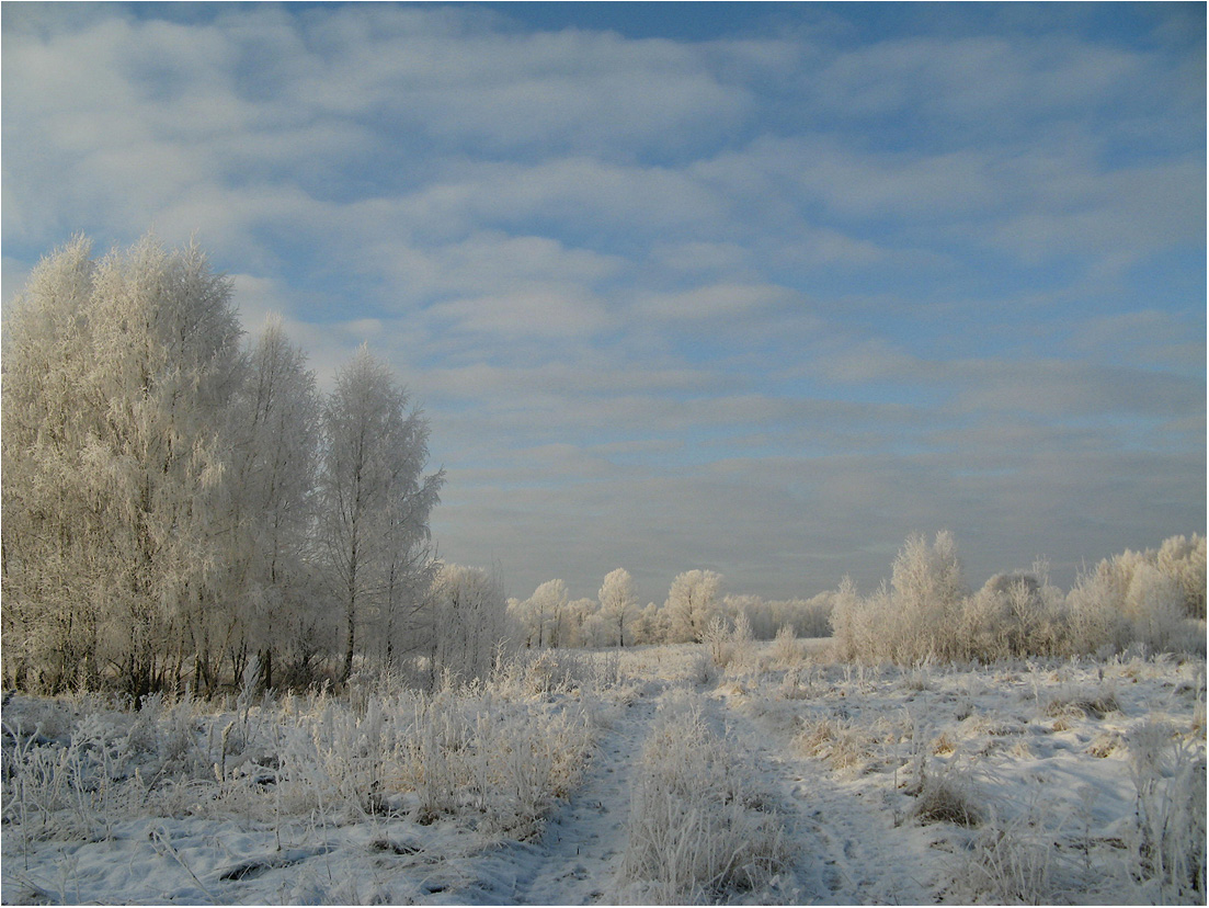 photo "Winter - goodbye!" tags: landscape, travel, hoarfrost, snow, winter, декабрь