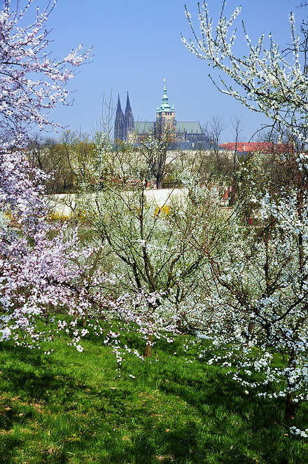 photo "Bесенний атмосфера" tags: nature, Prag, Prague, Praha