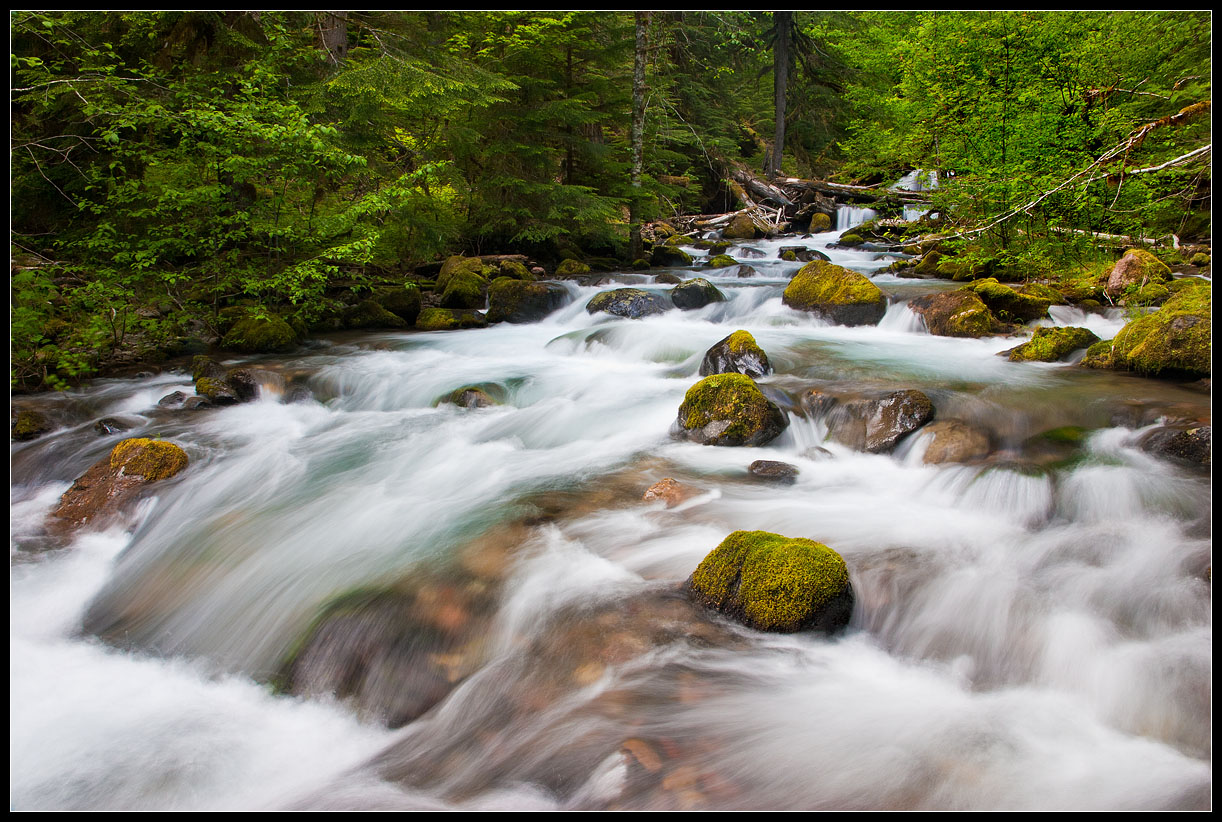 photo "Big water" tags: landscape, forest, water