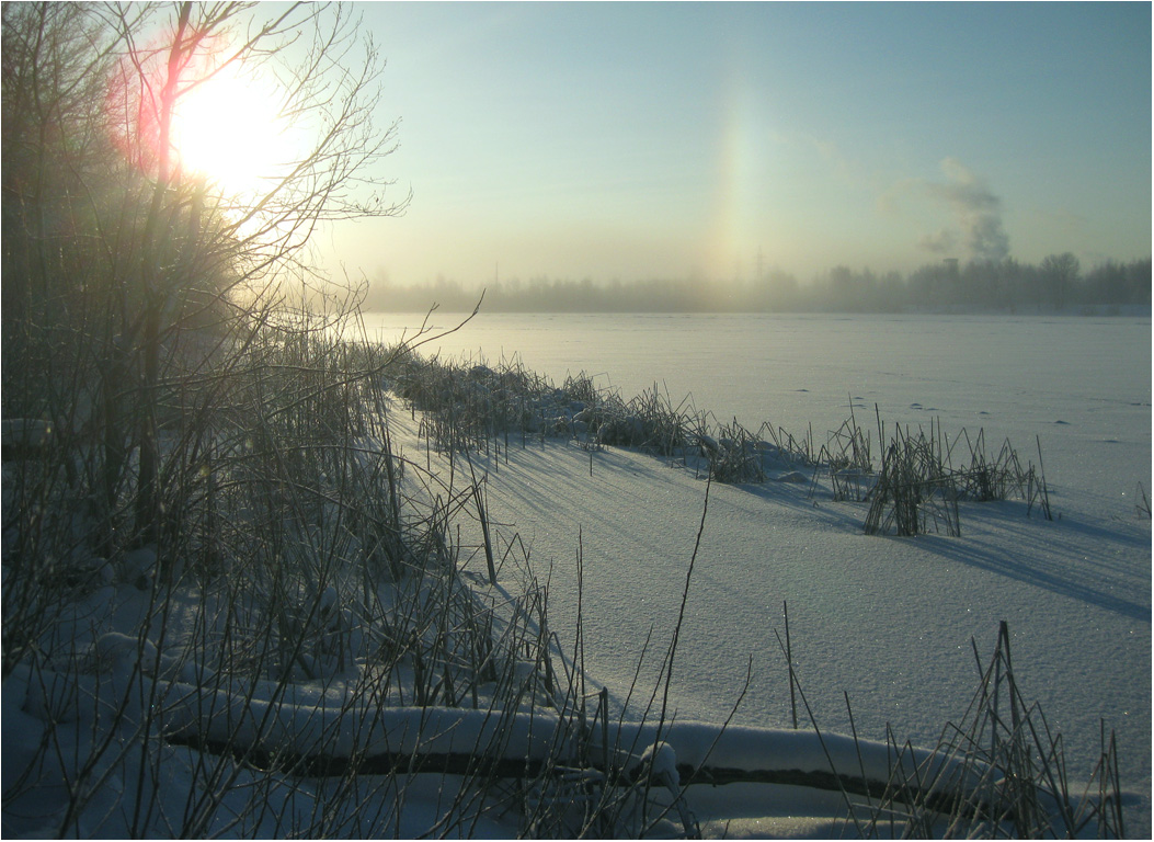 photo "Nostalgia for the winter." tags: landscape, hoarfrost, snow, winter, галло, ностальгия