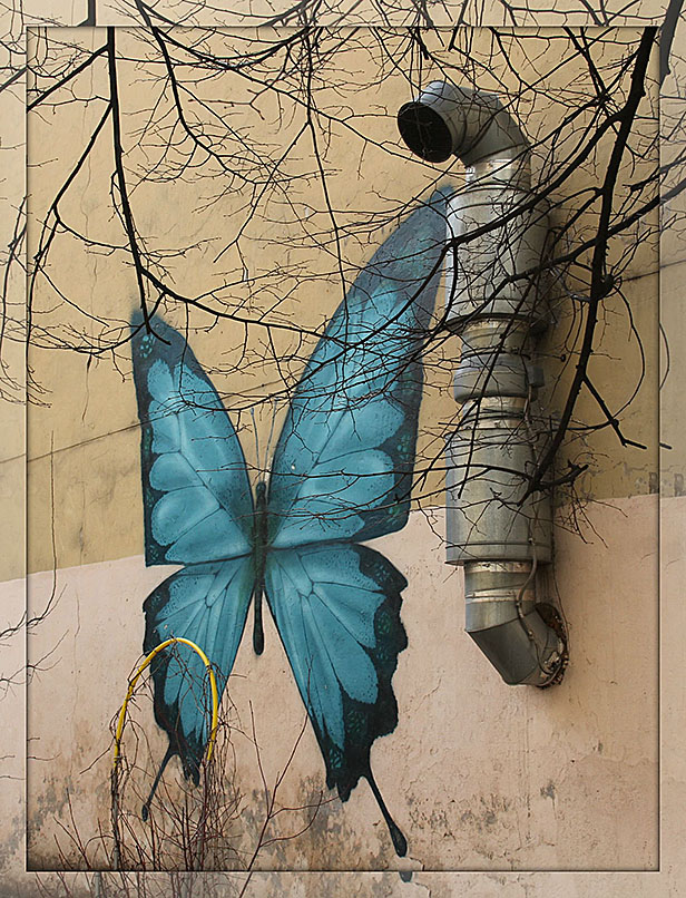 фото "«Гусеница» и бабочка" метки: , 
