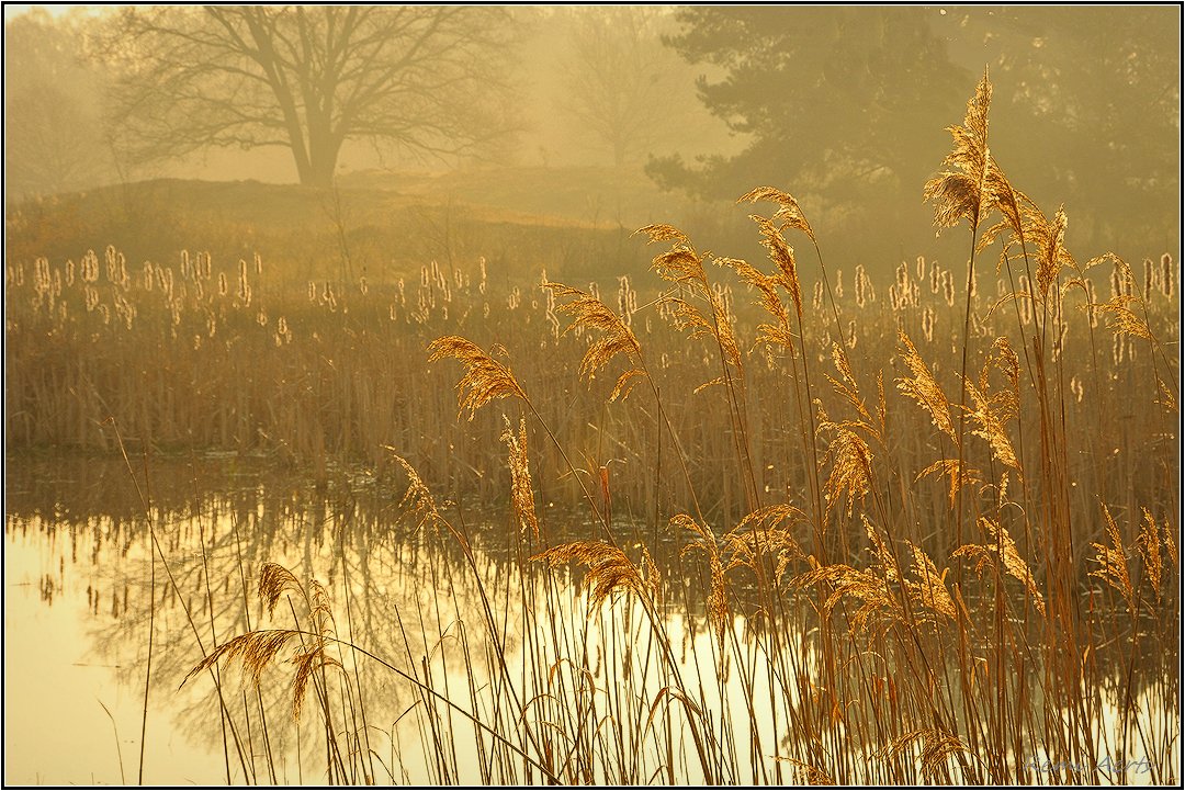 фото "***" метки: пейзаж, природа, 