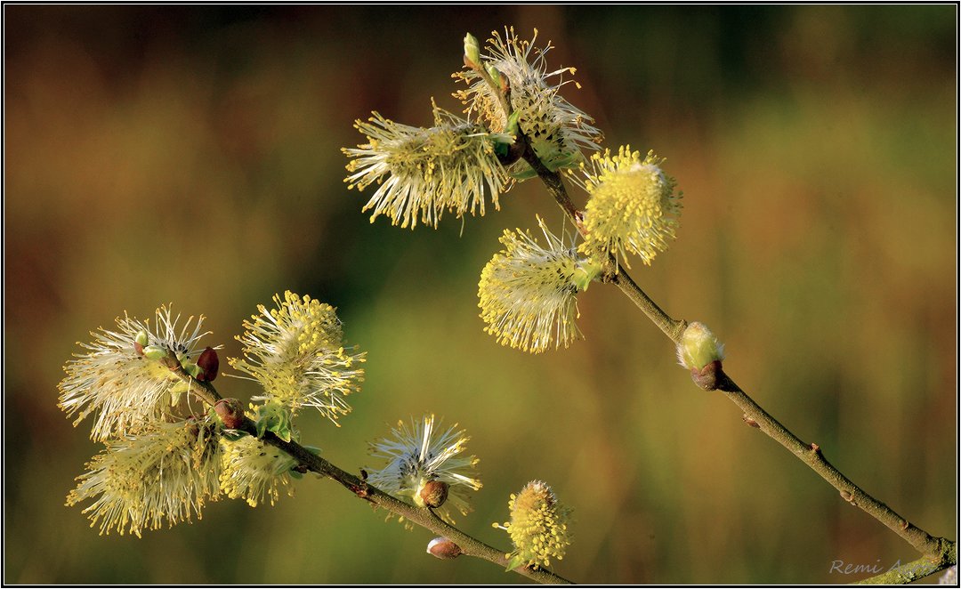 фото "***" метки: , 