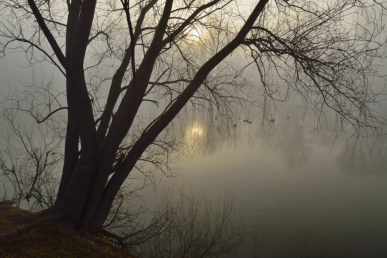 photo "***" tags: landscape, nature, fog, morning, spring, water, солнце.