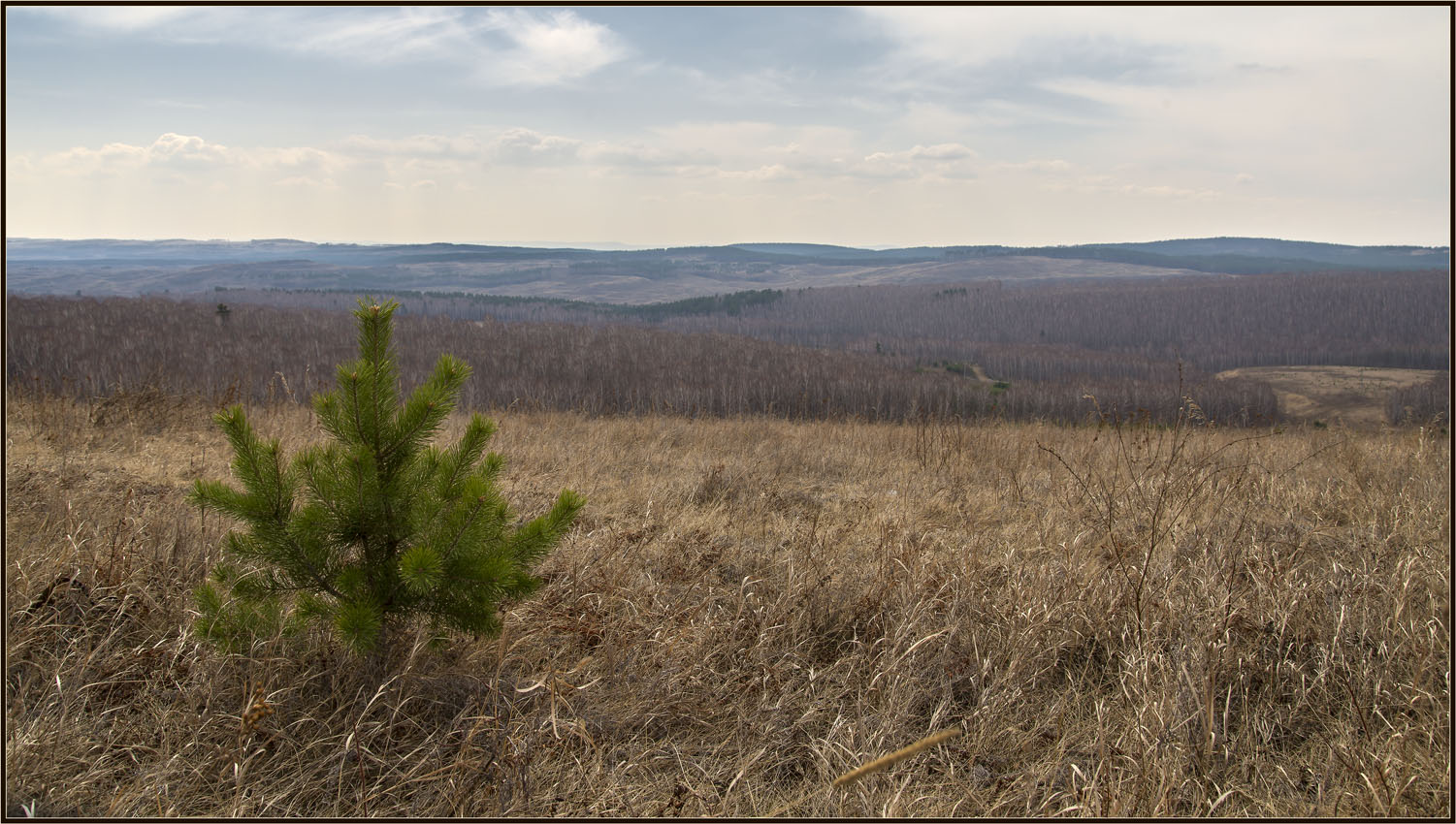 photo "***" tags: nature, landscape, 