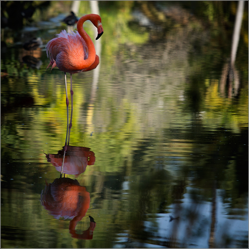 photo "Early bird" tags: travel, nature, 