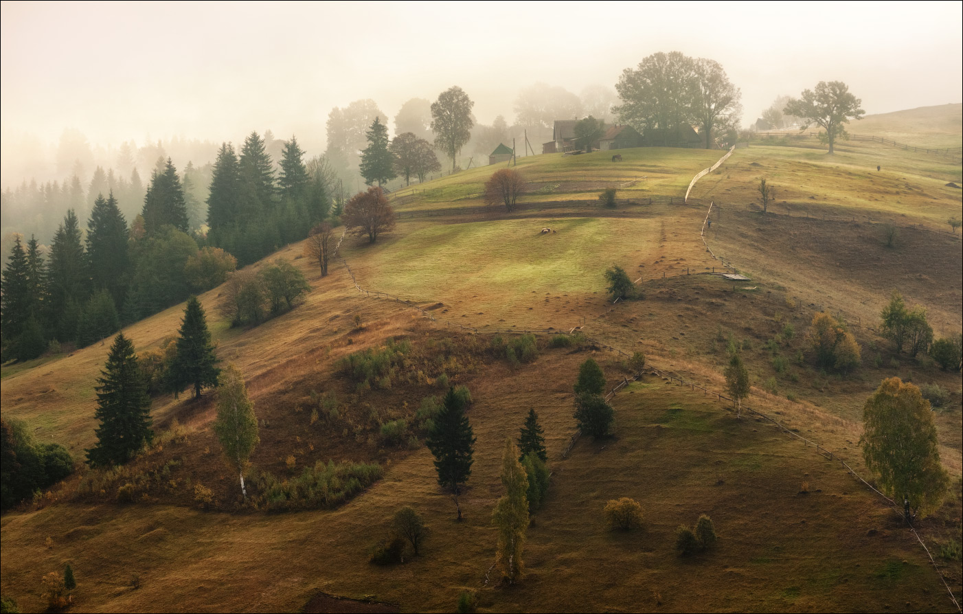 photo "***" tags: landscape, travel, nature, autumn, fog, Карпаты, Ясиня, закарпатье, склоны