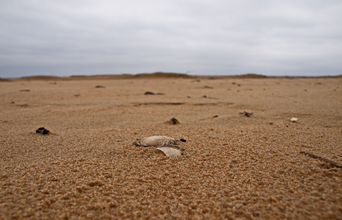 photo "when the water goes" tags: travel, nature, landscape, 