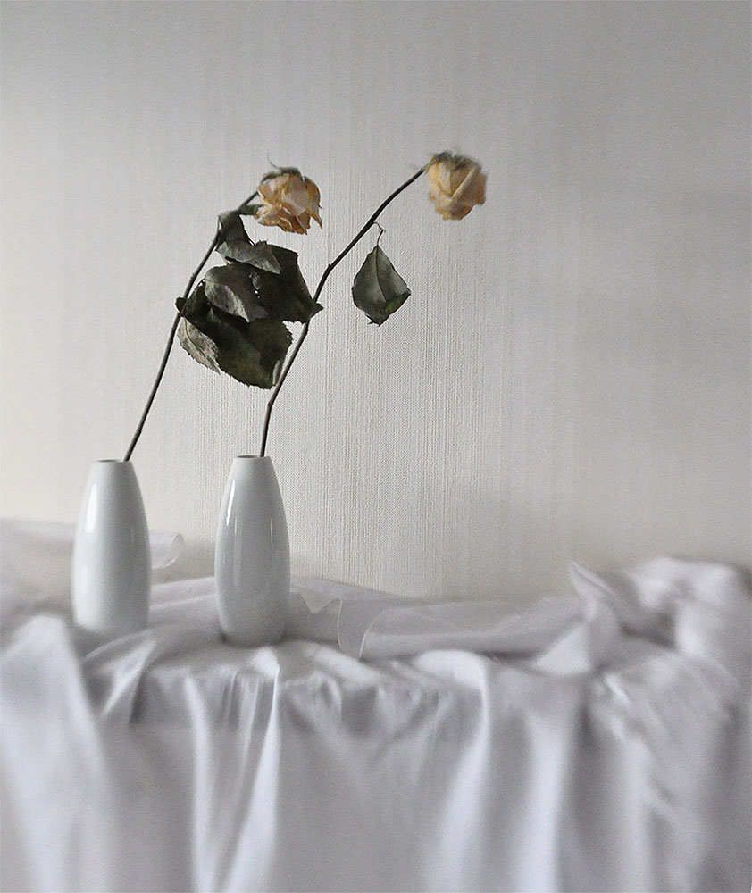 photo "Don't go..." tags: still life, 