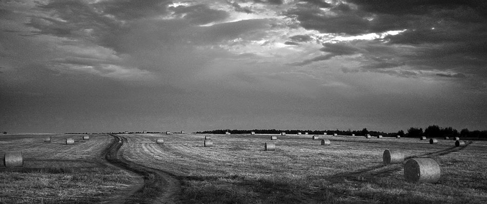 photo "***" tags: landscape, black&white, autumn, field, стога