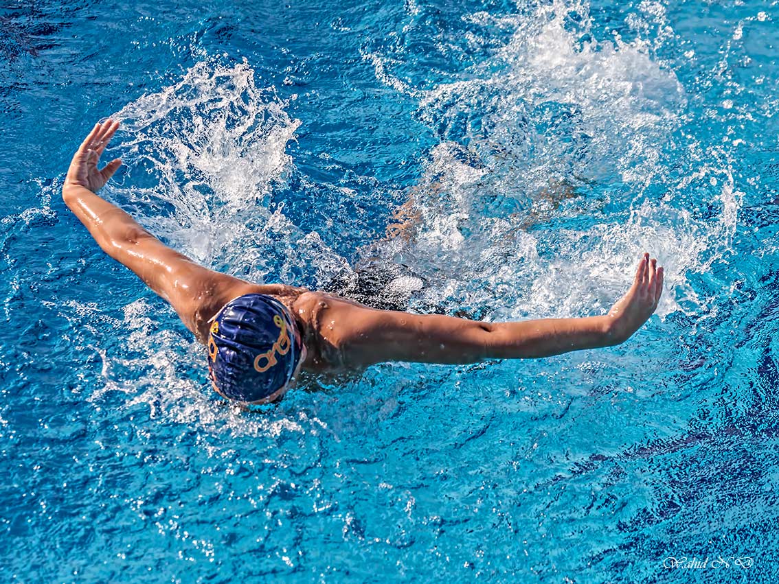 фото "Butterflystroke" метки: репортаж, спорт, Water. Sport. Swimming