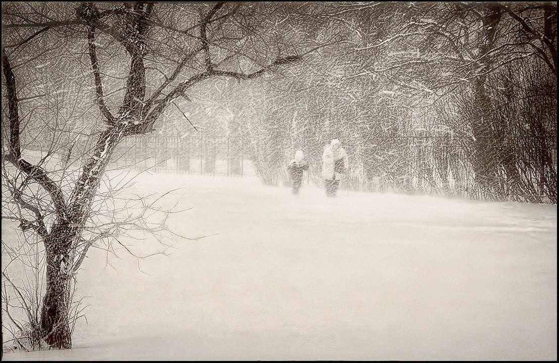 photo "Snowstorm" tags: genre, black&white, snow, Петербург