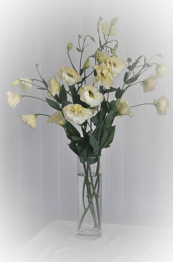 photo "***" tags: still life, 
