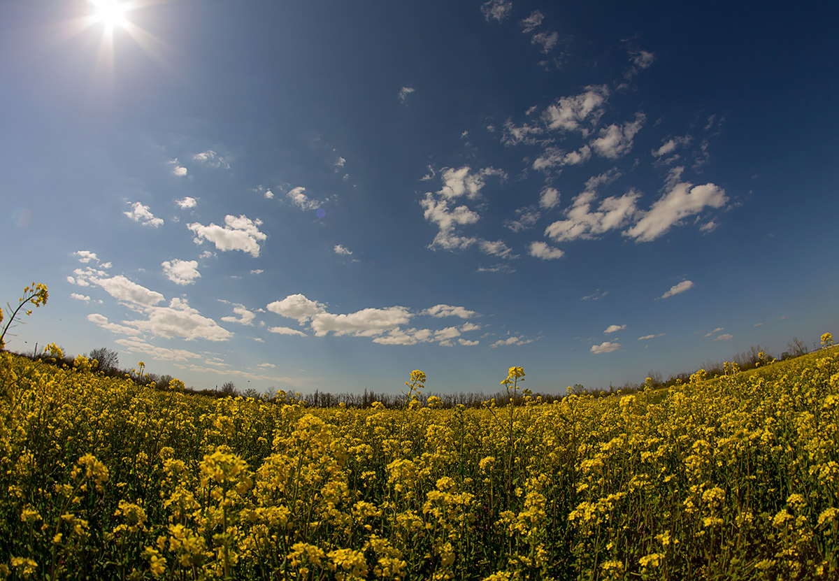 photo "***" tags: landscape, nature, 