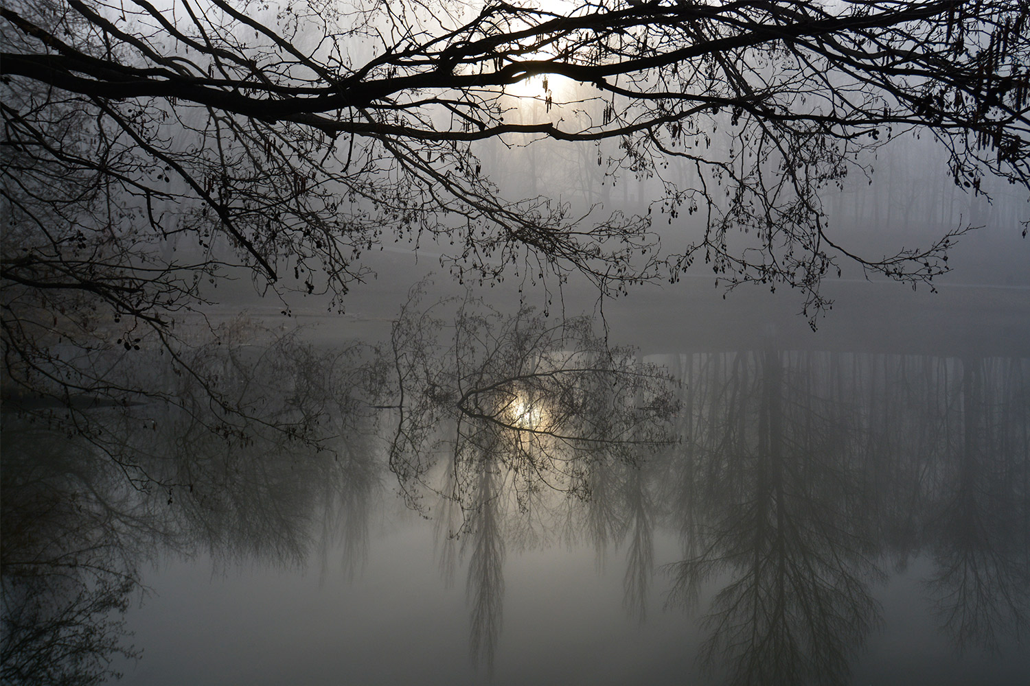 photo "***" tags: landscape, nature, spring, water, солнце.