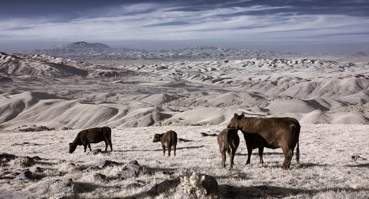 photo "***" tags: landscape, nature, 