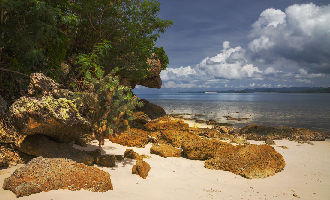 фото "Кактусы у моря" метки: пейзаж, путешествия, Индонезия, берег, джунгли, кактусы, камни, море, облака, острова, песок