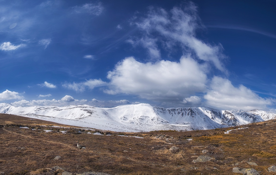 photo "***" tags: landscape, travel, nature, 