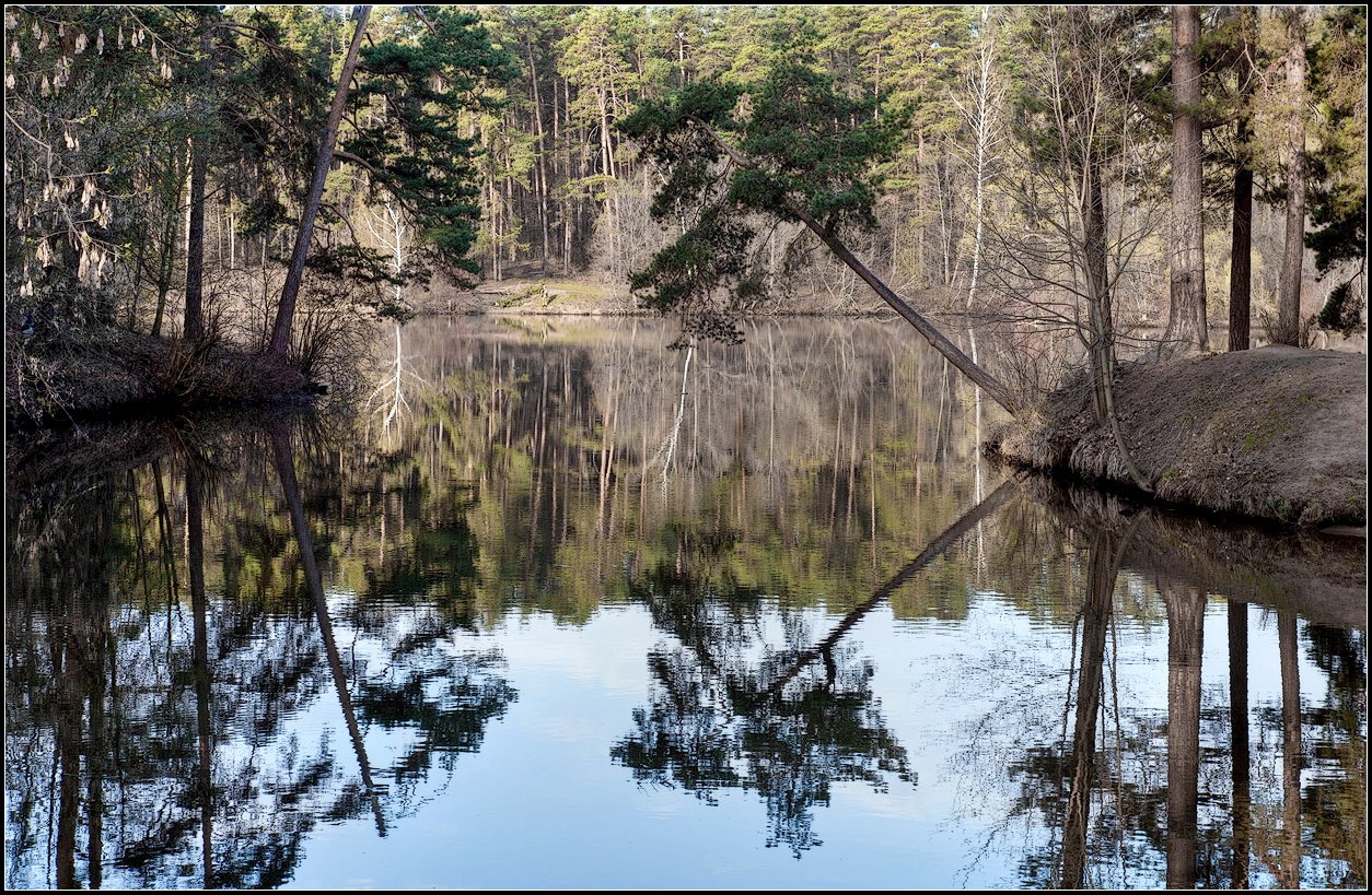 photo "Spring light" tags: landscape, nature, 