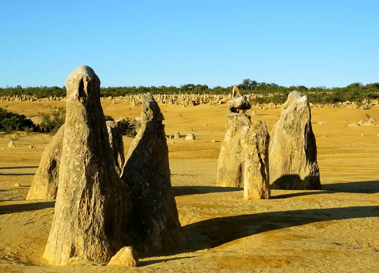фото "Rock Dance ... Pinnacles, Western Australia" метки: , 