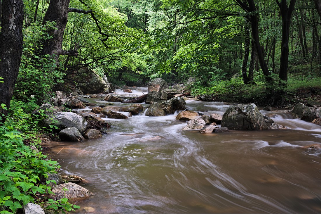photo "***" tags: landscape, 