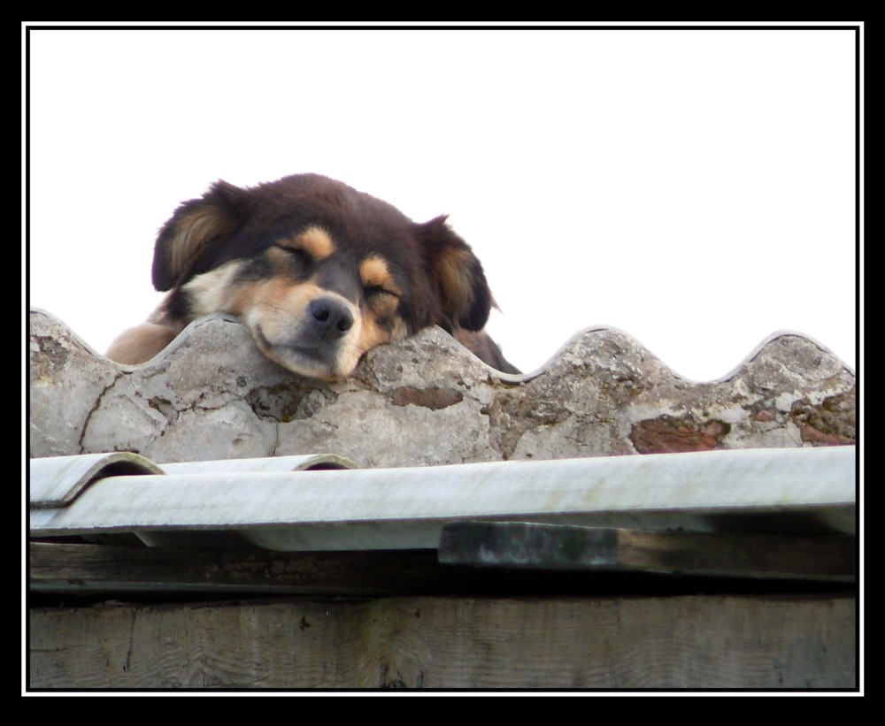 photo "Rest" tags: travel, street, 