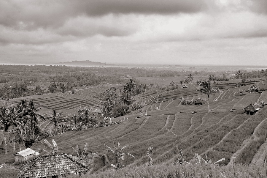 фото "поля Бали" метки: пейзаж, природа, путешествия, Азия, горы, луг, облака