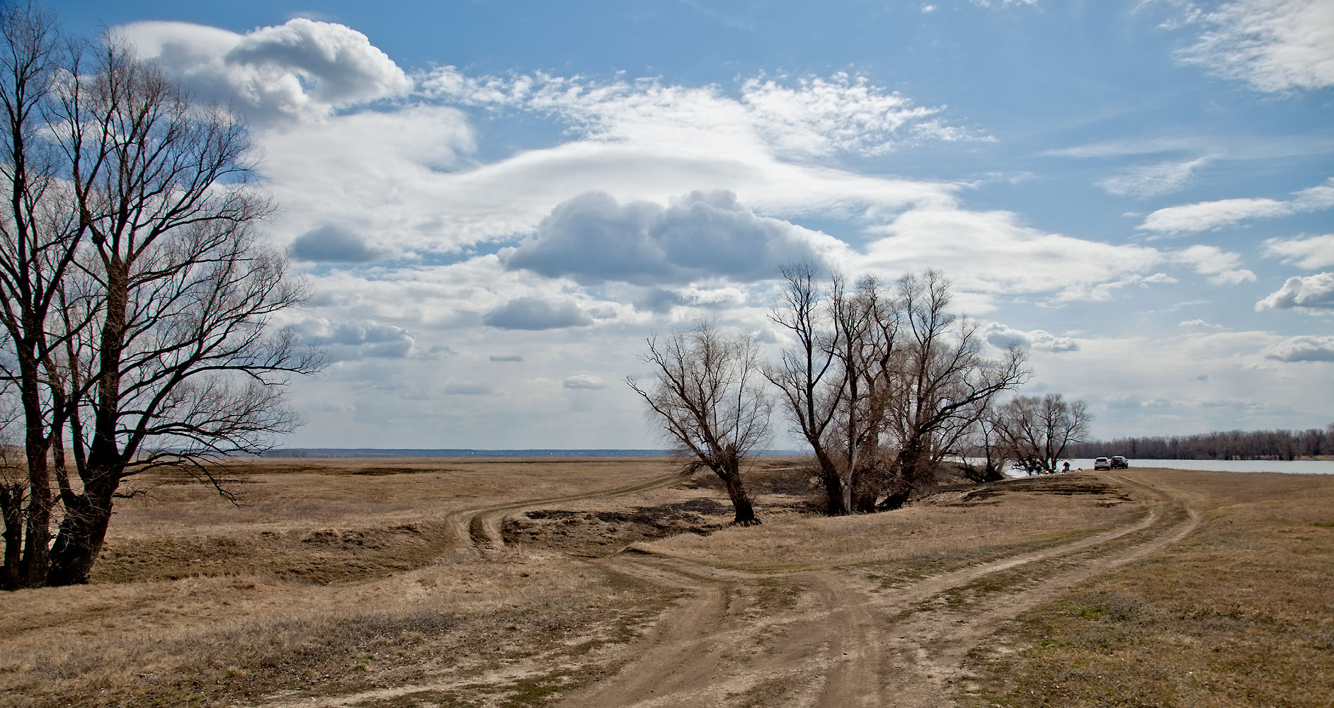 фото ""Налево пойдешь..."" метки: пейзаж, Западная Сибирь, апрель