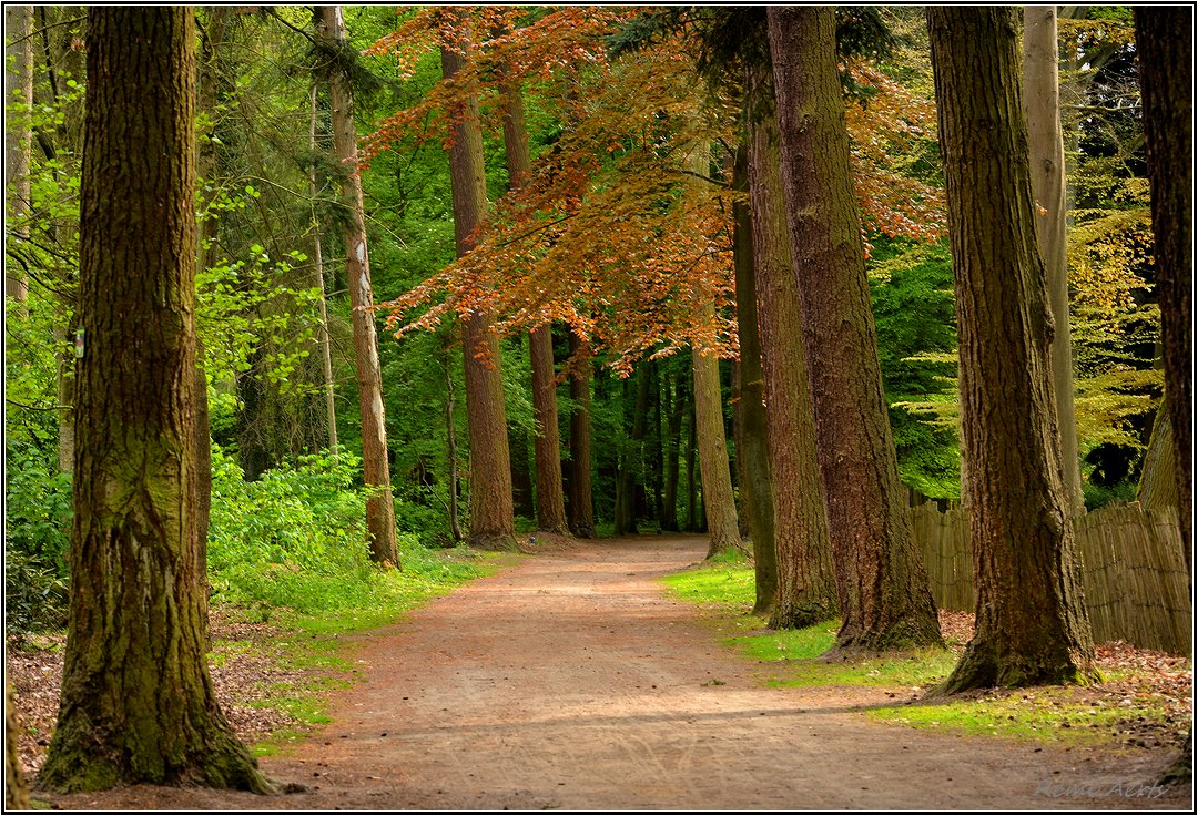 photo "***" tags: landscape, nature, 