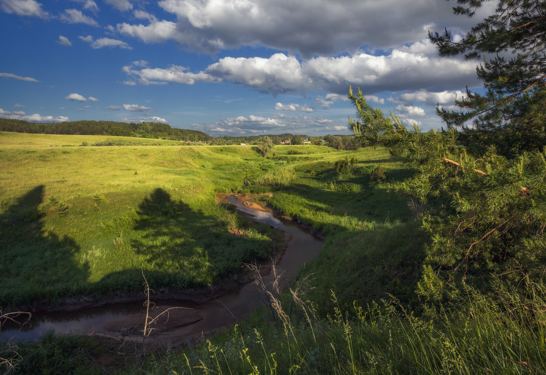 photo "***" tags: landscape, clouds, forest, grass, summer, Речка, деревня, деревья, изгибы, тени